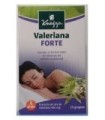 Sandoz bienestar bifidus 10 sobres
