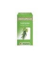 Cysticlean 240 mg pac 60 capsulas