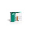 Martiderm proteoglicanos 10 ampollas piel seca