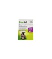 Drontal plus aroma perro 2 comprimido