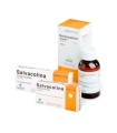 SALVACOLINA 0,2 mg/ml SOLUCION ORAL , 1 frasco de 100 ml