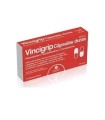 VINCIGRIP CAPSULAS DURAS , 12 cápsulas