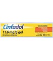 CINFADOL 11,6 mg/g GEL CUTANEO 1 TUBO 60 g