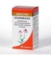 Artelac rebalance colirio 10 ml