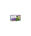 Arkofluido alcachofa forte ampolla bebible 15 ml 20 ampollas